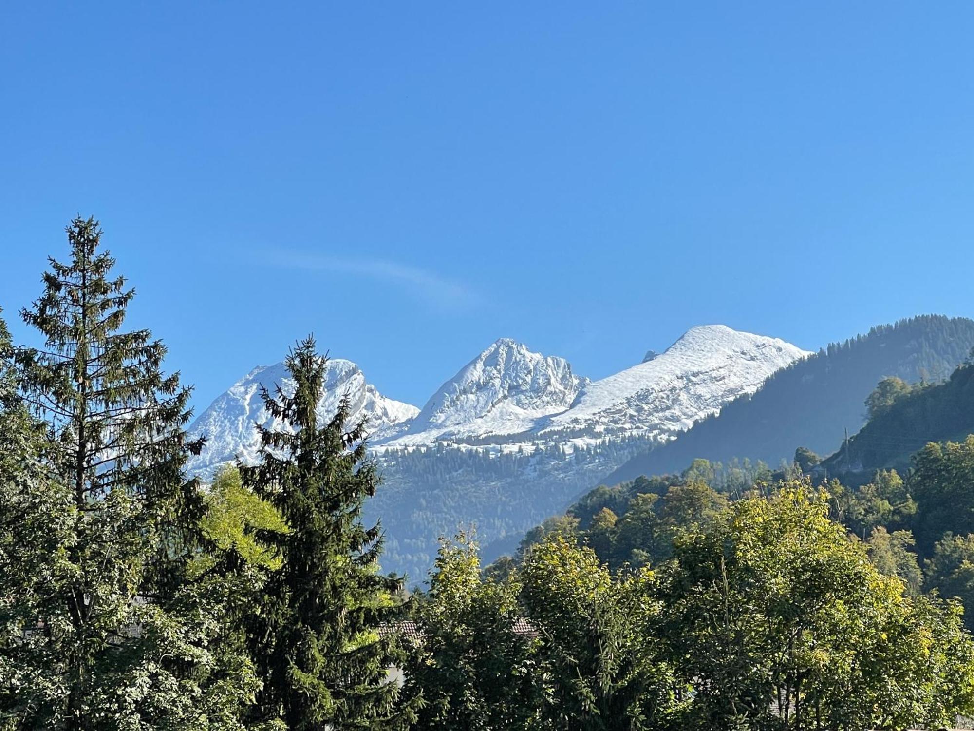 Vila Blaesschopfhuesli Nesslau Exteriér fotografie
